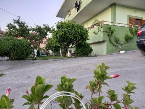 Apartamento Guesthouse Haxhi Ksamil