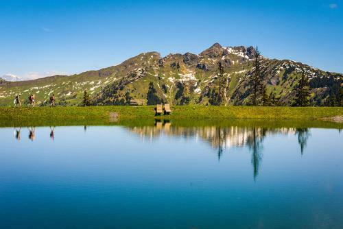 Apartamento Lothringer Bauernhof Urlaub Am Lothringerhof