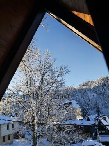 Apartamento Snowdream
