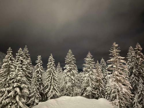 Apartmani Polaris Jahorina