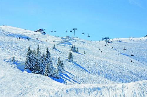 Vila Eskim Jahorina, Apartman Db 301