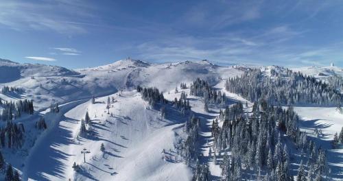 Vila Eskim Jahorina, Apartman Db 301