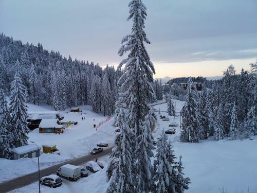Apartamento Jahorinska Vila - App Srce Jahorine