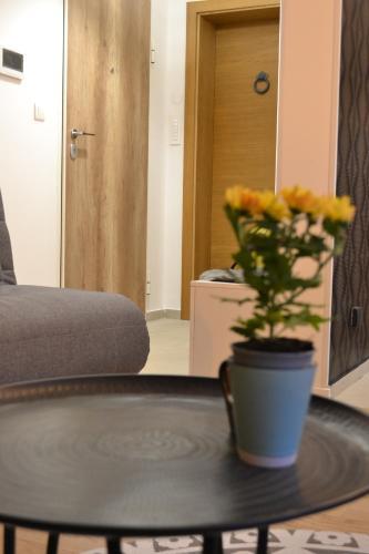 Olimpijska Kuca Jahorina - Apartman A708