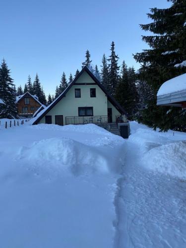Ski Ku?a Boki