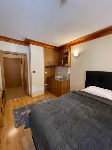 Apartment 217 Aparthotel Vu?ko
