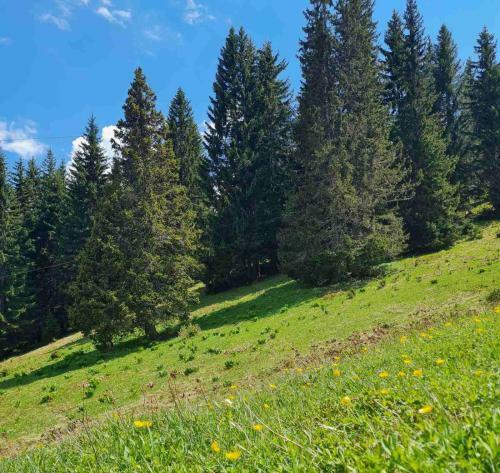 Apartamento Mountain View
