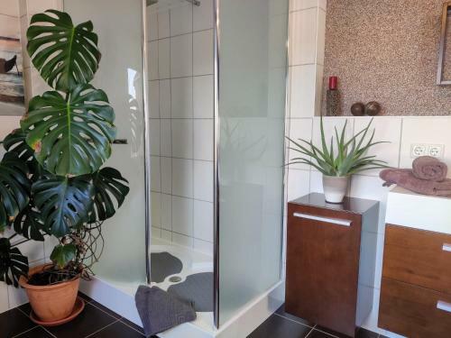Hostal Ferienunterkunft Malu-sol