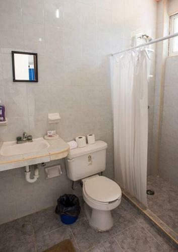 Apartamento Homey Studio In The Centro Of Town !