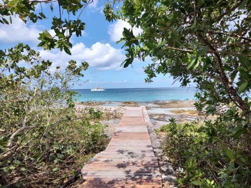 Apartamento Oceanfront Condo - Cozumel - Incredible Sunsets #11