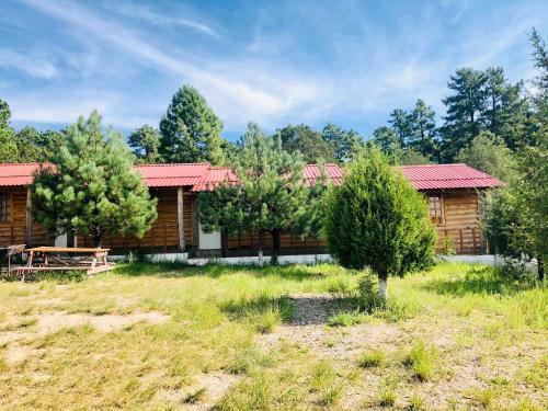 Lodge Simatiri Hotel Y Caba�as By Rotamundos
