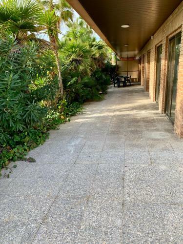 Apartamento - Wifi Free - Frente Al Mar