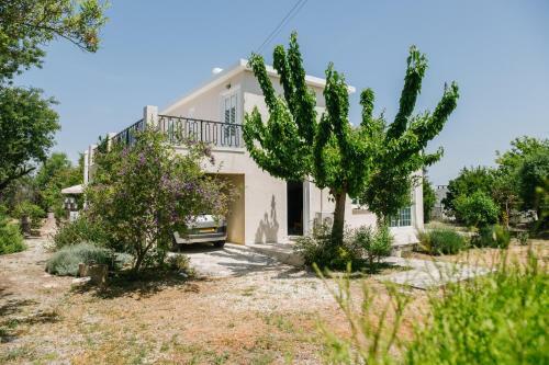 Five Greeks 4 Bedroom Villa In Paphos