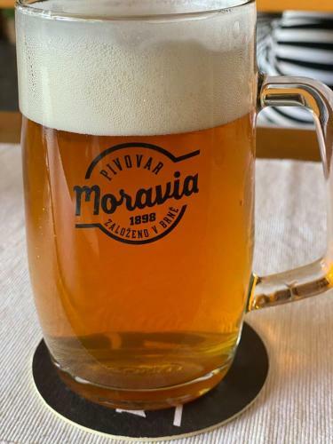 Hostal Penzion Pivovarsk� Restaurace Moravia