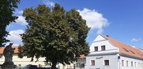 Hostal Penzion Pivovarsk� Restaurace Moravia