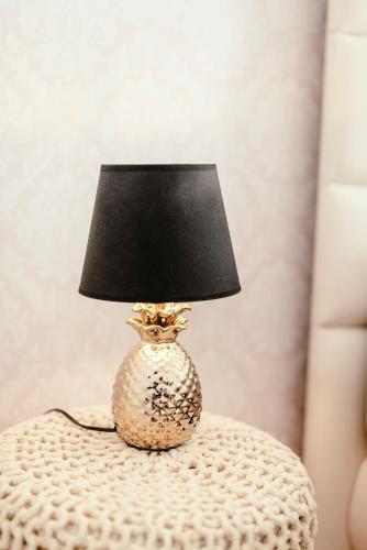 Luxury Apartments Zelny TRH 4