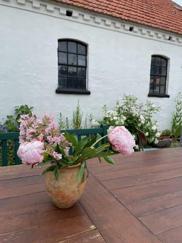 Hostal Cam�nogaarden