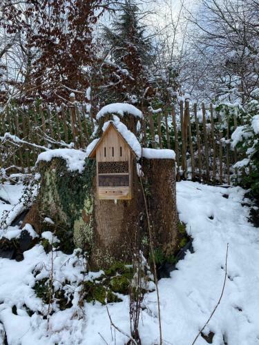 Hostal Le Retour Aux Sources - Chambre D'h�te Chaleureuse Et Conviviale