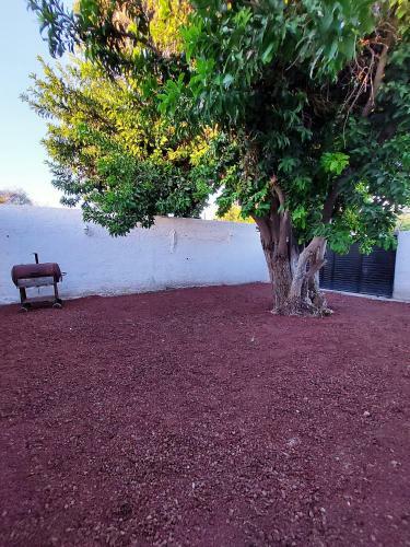 El Rinc�n Del Desierto