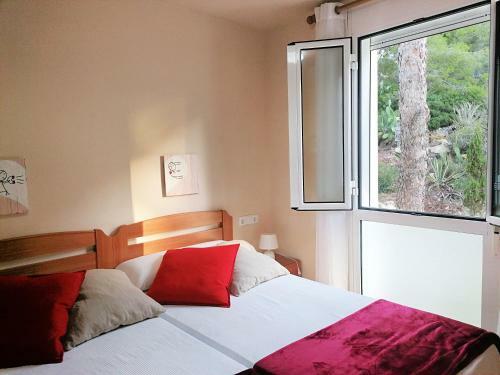 Apartamento Ol� Ol�