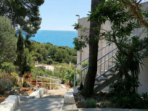 Apartamento Ol� Ol�