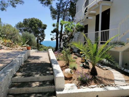 Apartamento Ol� Ol�