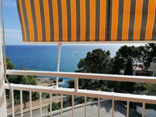 Apartamento Ol� Ol�