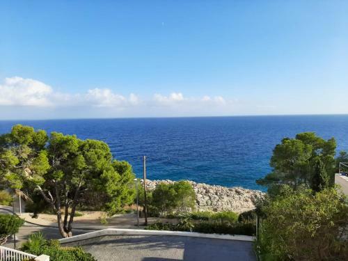 Apartamento Ol� Ol�