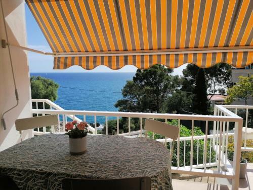 Apartamento Ol� Ol�