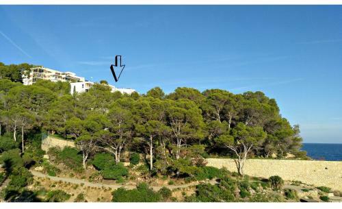 Apartamento Ol� Ol�