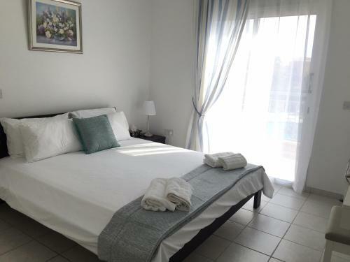 Modern Pool Facing Apartment In Popular Limnaria Gardens