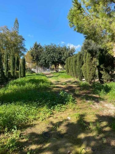 Apartamento Limnaria Gardens K203 In Paphos
