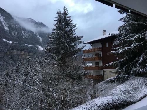 Apartamento Bel Air C