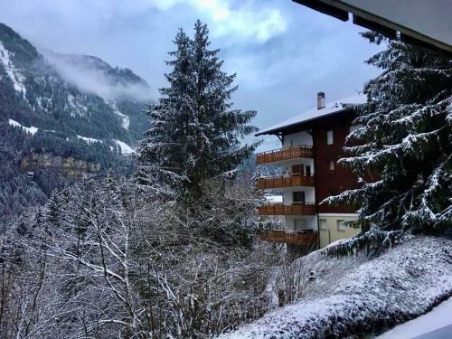 Apartamento Bel Air C