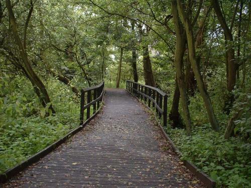 Apartamentos Hautacuperche