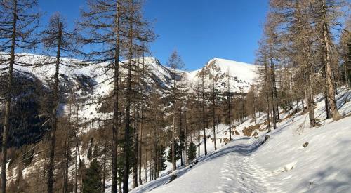 Chalet Rotfuchs Heidialm Falkertsee K�rnten