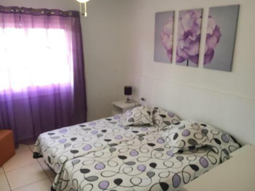The Palms Apartaments