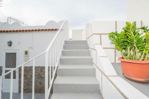 Apartamento Mariposa