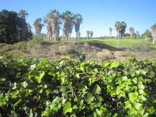 Marvelous Villa Tenerife Sur Golf Del Sur-amarilla Golf