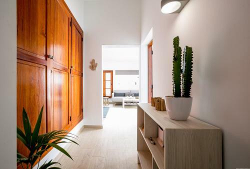 Cactus Apartment