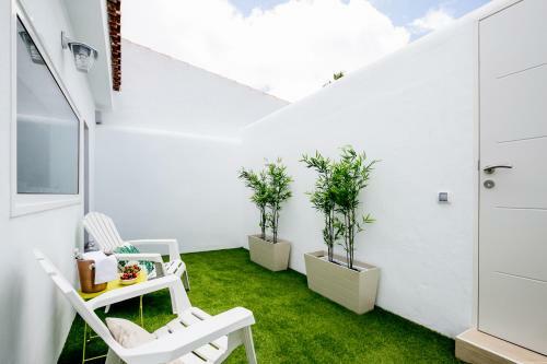 Cactus Apartment