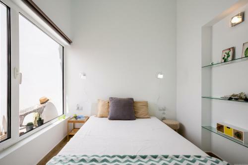 Cactus Apartment