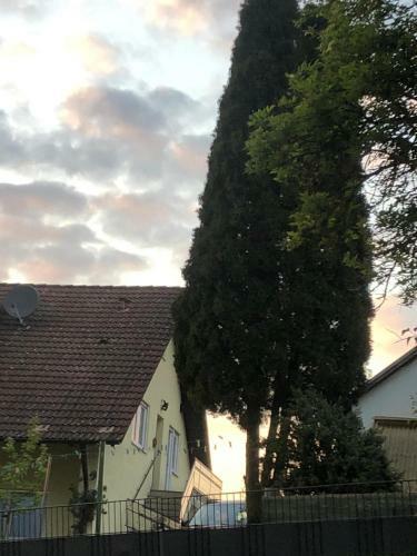Apartamento Ferienwohnung Liebel
