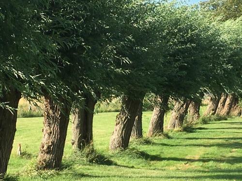 Bed & Breakfast Landgoed Wilgenheerd