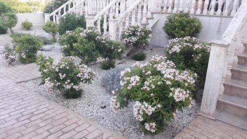 Apartamento Peyia Paradise Townhouse A3