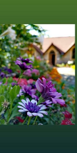 Platanistasa Mountain House