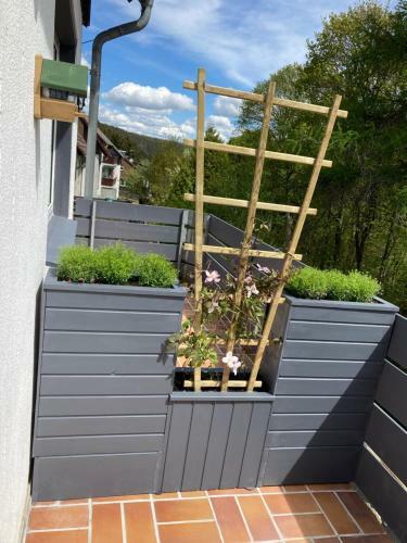 B&B Am Oker, Altenau, Harz