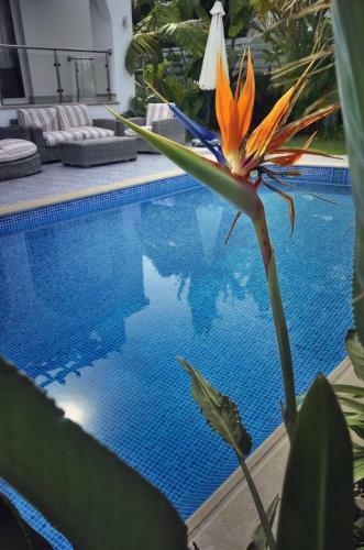 Seafront 3 Bedroom Villa Medea With Private Pool And Garden.