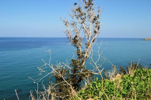 Villa Fata Morgana