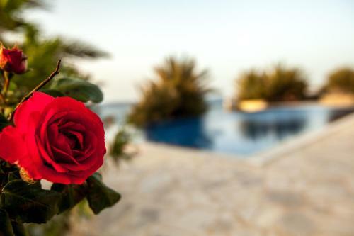 Villa Fata Morgana